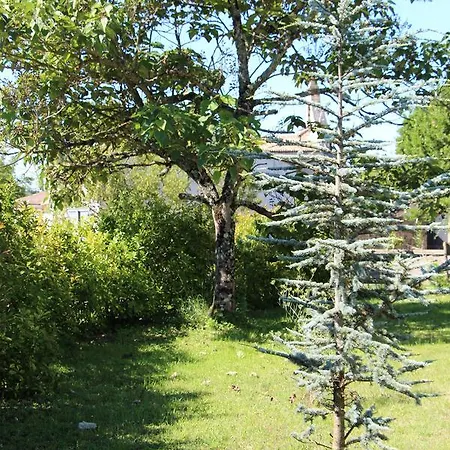 Domaine L'amourette Bed & Breakfast Tizac-de-Curton